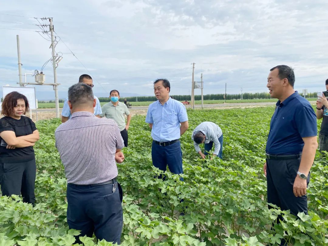 新疆生产建设兵团农业农村局副局长陈谦一行到格林凯尔共享工厂（双河基地）参观考察