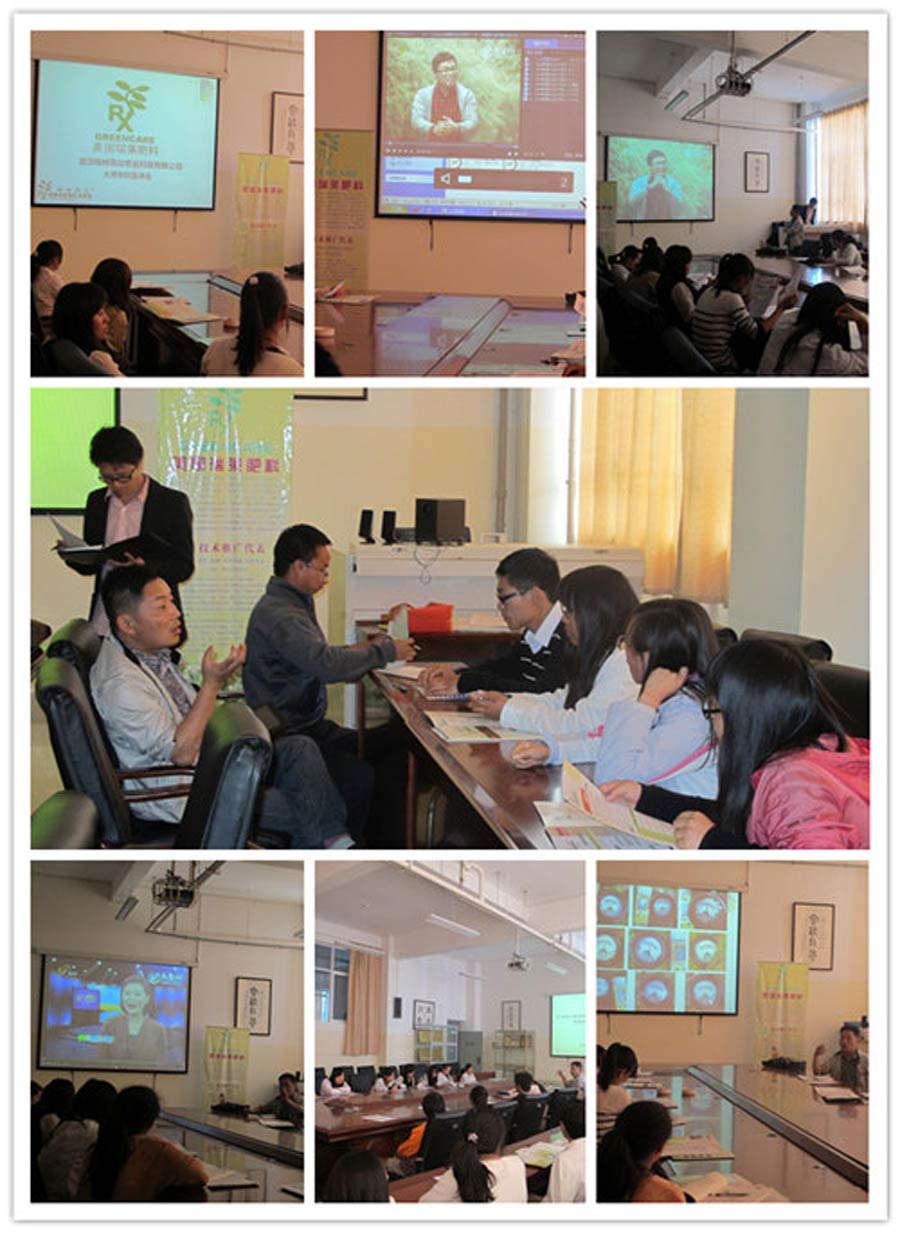 格林凯尔——大理学院招聘宣讲会